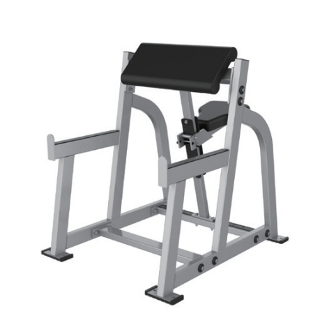Arm Curl, Sittande