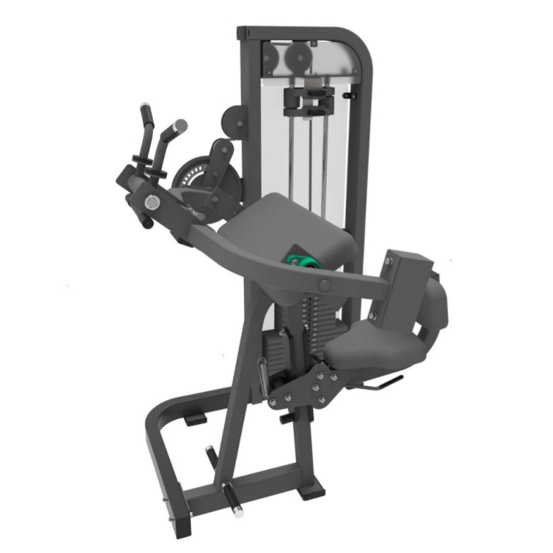 Biceps och triceps