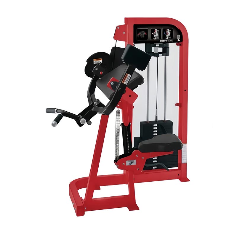 Välj Biceps Curl Machine